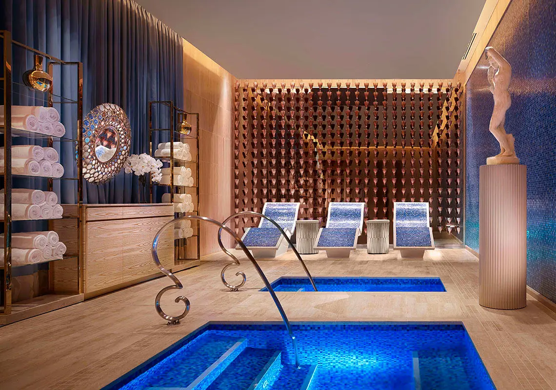 Spa and Wellness Facilities